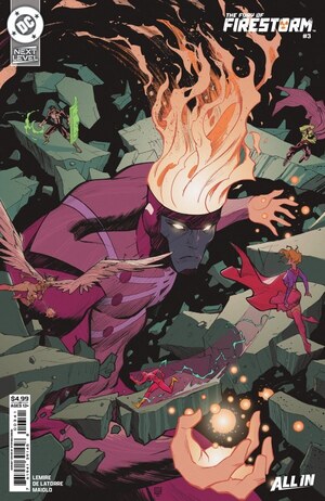 [Fury of Firestorm (series 2) 3 (Cover D - Stephen Green)]