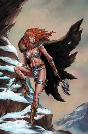 [Red Sonja: She-Devil with a Sword #2 (Cover J - Mike Rooth Full Art Incentive)]