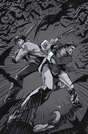 [Supernatural (series 5) #8 (Cover L - David Cousens Line Art Full Art Incentive)]