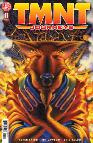 [TMNT: Journeys #11 (Cover A - Michael Dooney & Jim Lawson)]