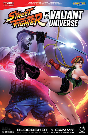 [Street Fighter vs. The Valiant Universe #1 (Cover D - Noobovich)]