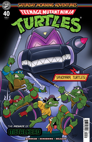 [Teenage Mutant Ninja Turtles: Saturday Morning Adventures - Continued #40 (Cover C - Aaron Hazouri)]