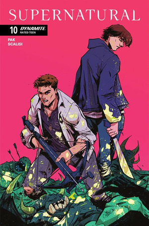 [Supernatural (series 5) #10 (Cover B - David Cousens)]