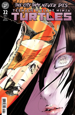 [Teenage Mutant Ninja Turtles (series 6) #22 (Cover G - Nishi Lee Incentive)]