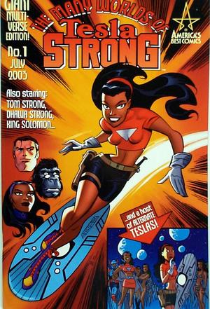 [Many Worlds of Tesla Strong (Bruce Timm cover)]