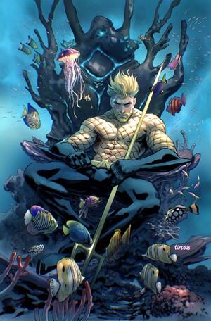[AQUAMAN #8 CVR D TIRSO CARD STOCK VAR]