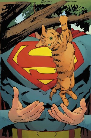 [SUPERMAN UNLIMITED #5 CVR D MATTEO LOLLI CARD STOCK VAR]