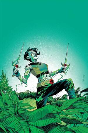 [THUNDERCATS LOST #6 CVR F DECLAN SHALVEY METAL VIRGIN VAR]