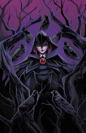 [DCS QUOTH THE RAVEN WHATEVER #1 (ONE SHOT) CVR A SWEENEY BOO]