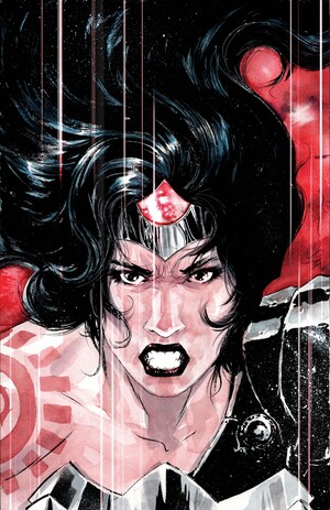 [ABSOLUTE WONDER WOMAN #14 CVR D DUSTIN NGUYEN CARD STOCK VAR]