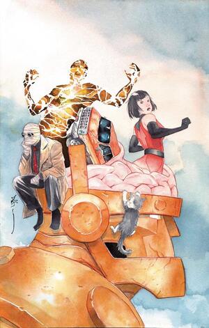 [DOOM PATROL #3 CVR C DUSTIN NGUYEN CARD STOCK VAR]