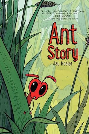 [ANT STORY TP]