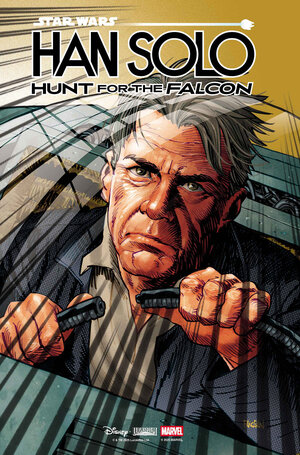 [STAR WARS: HAN SOLO - HUNT FOR THE FALCON #1 CVR D DAN PANOSIAN VARIANT]