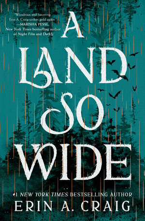[A LAND SO WIDE HC]