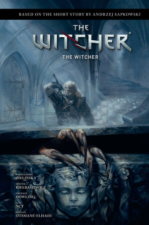 [ANDRZEJ SAPKOWSKI'S THE WITCHER: THE WITCHER HC]