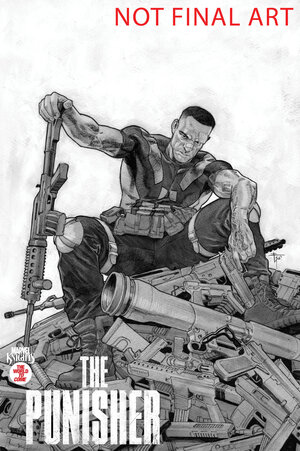 [MARVEL KNIGHTS: PUNISHER #2 CVR B FRANCESCO MOBILI VARIANT]