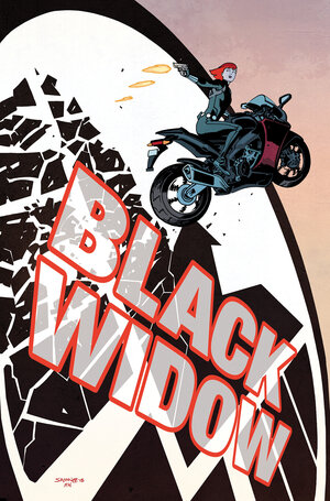 [BLACK WIDOW & CAPTAIN AMERICA BY WAID & SAMNEE OMNIBUS HC]