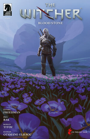 [THE WITCHER: BLOOD STONE #1 CVR C (AXEL SAUERWALD)]