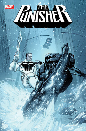 [PUNISHER #12 CVR A]