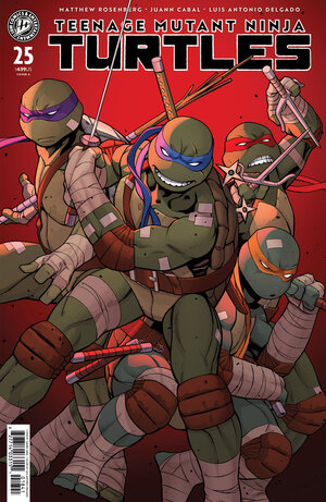 [TEENAGE MUTANT NINJA TURTLES #25 CVR A (CABAL)]