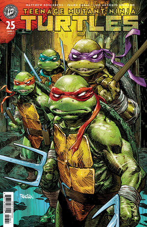 [TEENAGE MUTANT NINJA TURTLES #25 CVR C (PANOSIAN)]
