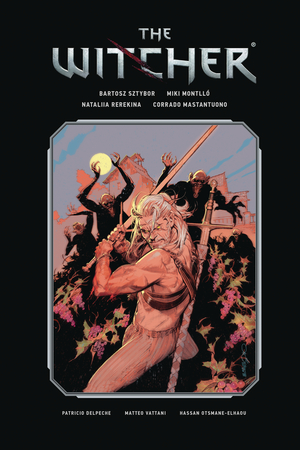 [WITCHER LIBRARY ED HC VOL 3]