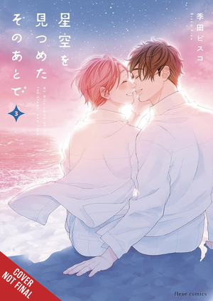 [AFTER WE GAZED AT STARRY SKY GN VOL 3]