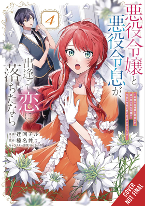 [IF VILLAINESS & VILLAIN MET & FELL IN LOVE GN VOL 4]