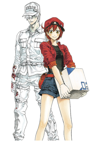 [CELLS AT WORK COMP BOX SET]