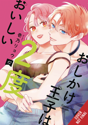 [DOUBLE THE TROUBLE TWICE AS NICE GN VOL 2]