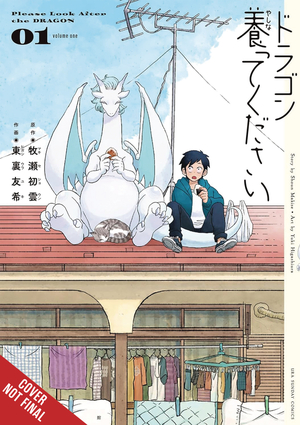 [PLEASE LOOK AFTER THE DRAGON GN VOL 1]