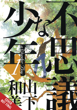 [WONDER BOY HC VOL 1]
