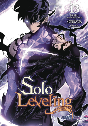 [SOLO LEVELING GN VOL 14]